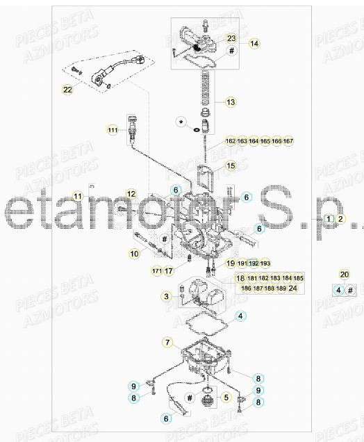 Carburateur BETA Pièces BETA RR XTRAINER 250 2T - (2017)