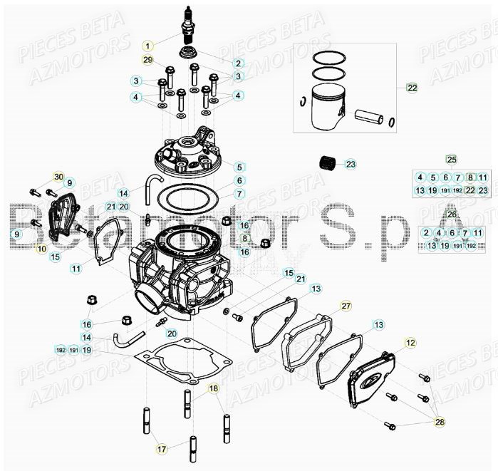 CYLINDRE pour BETA XTRAINER 250 MY17