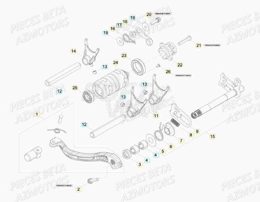 Selecteur De Vitesses BETA Pièces BETA RR XTRAINER 250 2T - (2017)