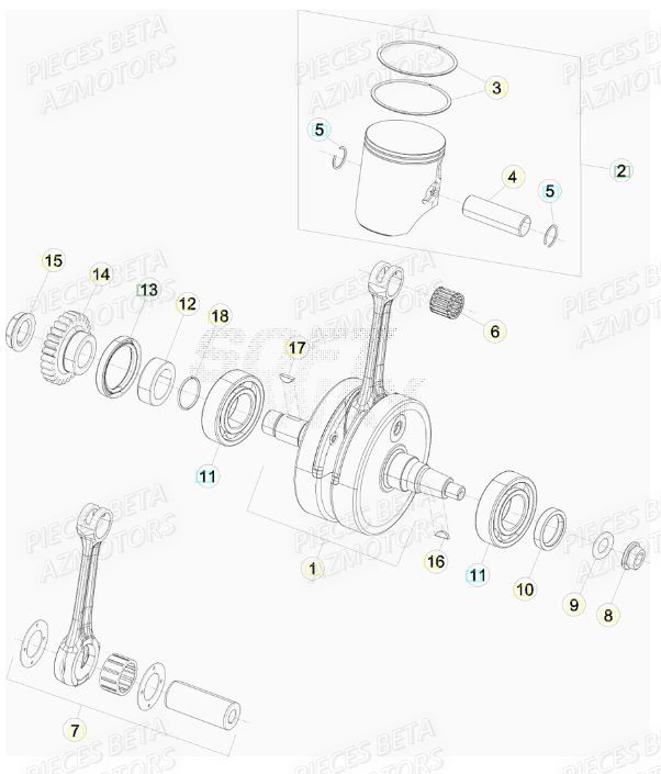 VILEBREQUIN pour BETA XTRAINER 250 MY17