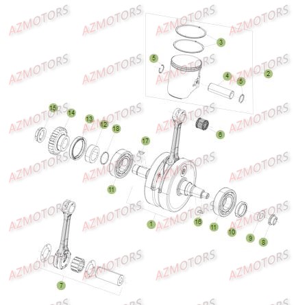 VILEBREQUIN PISTON CONTRE ARBRE pour BETA XTRAINER MY15