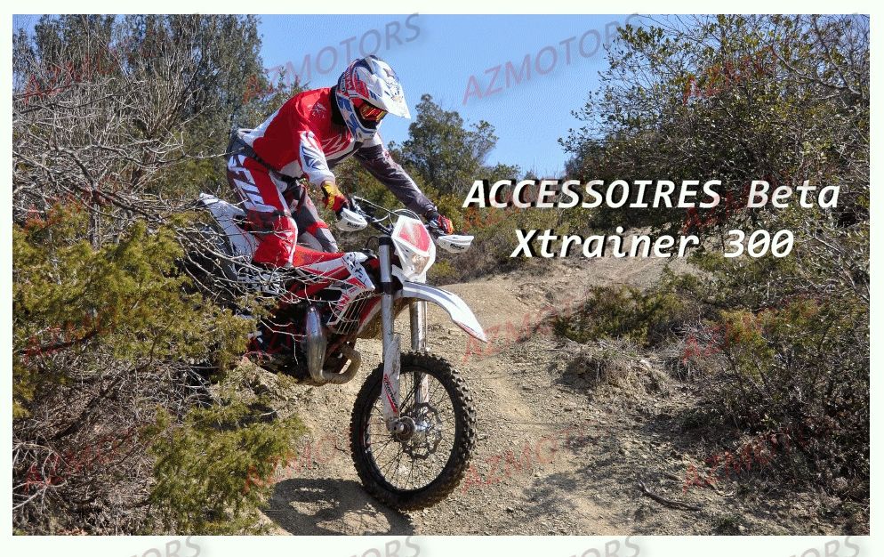 Accessoires BETA Pièces BETA RR XTRAINER 300 2T - (2016)