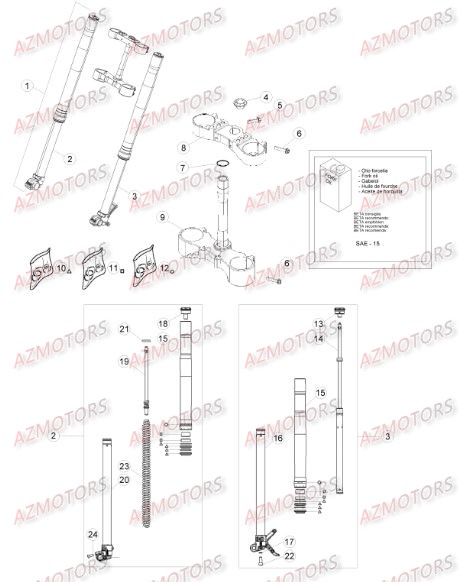 FOURCHE BETA Pièces BETA RR XTRAINER 300 4T - [2016]