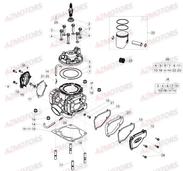BOUGIE IRIDIO T40352G BETA pour CYLINDRE de BETA XTRAINER MY17