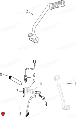PEDALE FREIN ET SELECTEUR VITESSES pour BLACK ROD 125