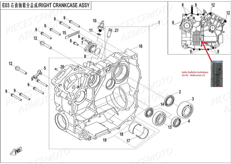 CARTER DROIT AZMOTORS CFORCE 550