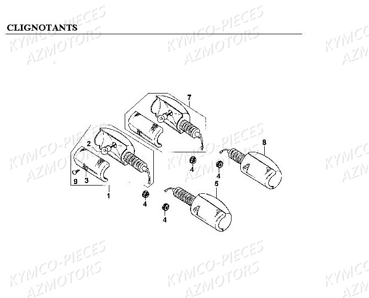 CLIGNOTANTS AZMOTORS CKPULSAR125