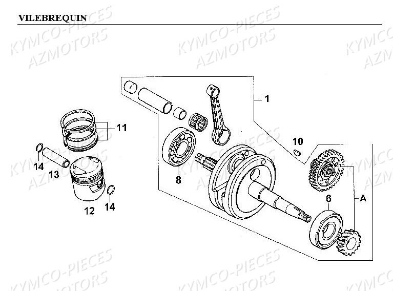 VILEBREQUIN pour CKPULSAR125