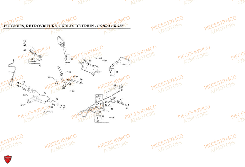 GUIDON COBRA CROSS AZMOTORS COBRA 50