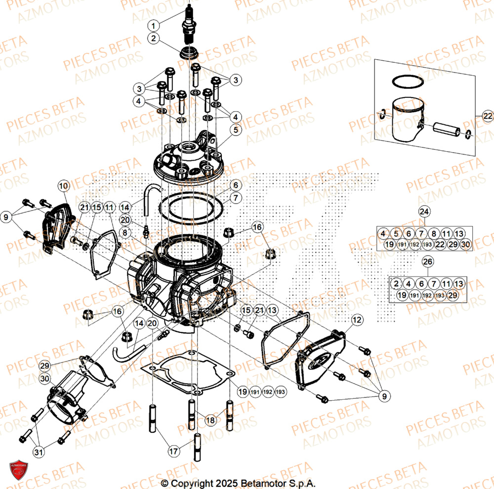 Cylindre BETA Pieces BETA CROSS RX 250 2T - (2026)