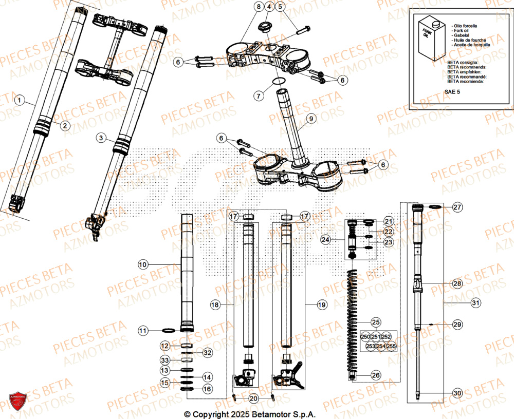 Fourche BETA Pieces BETA CROSS RX 250 2T - (2026)