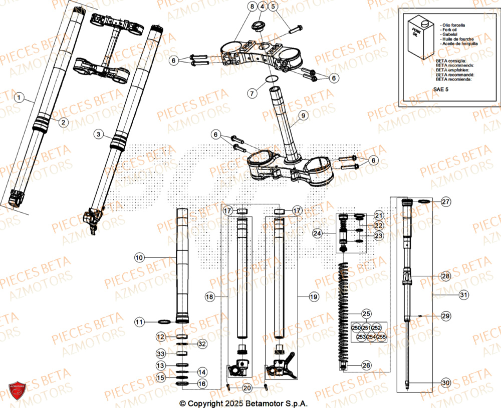 Fourche BETA Pieces BETA CROSS RX 450 4T - (2026)