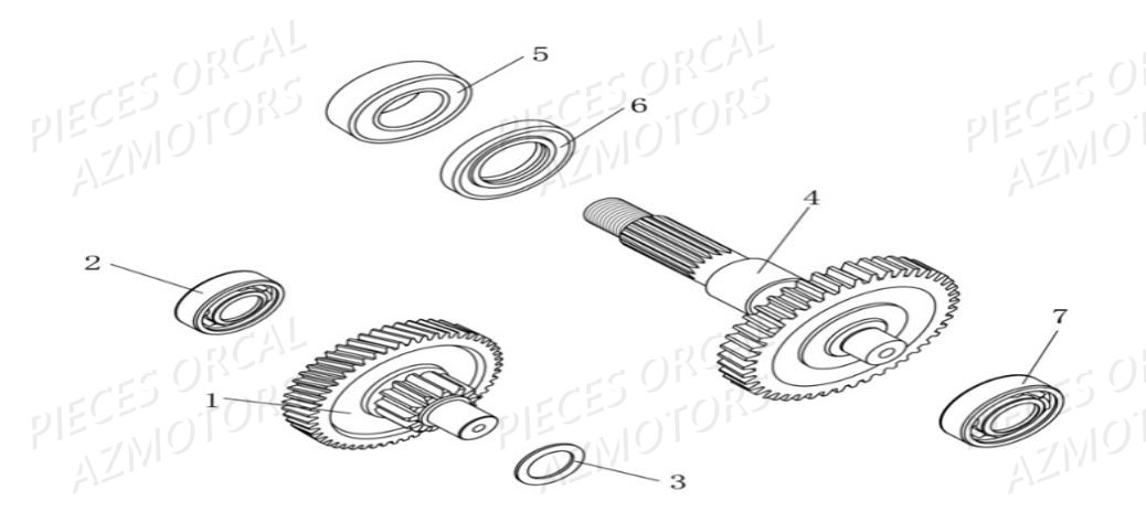 PIGNON TRANSMISSION AZMOTORS Cavaro 50 2T