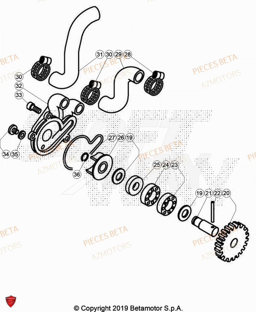 Pompe A Eau AZMOTORS Pièces BETA EVO 125 2T - [2023]