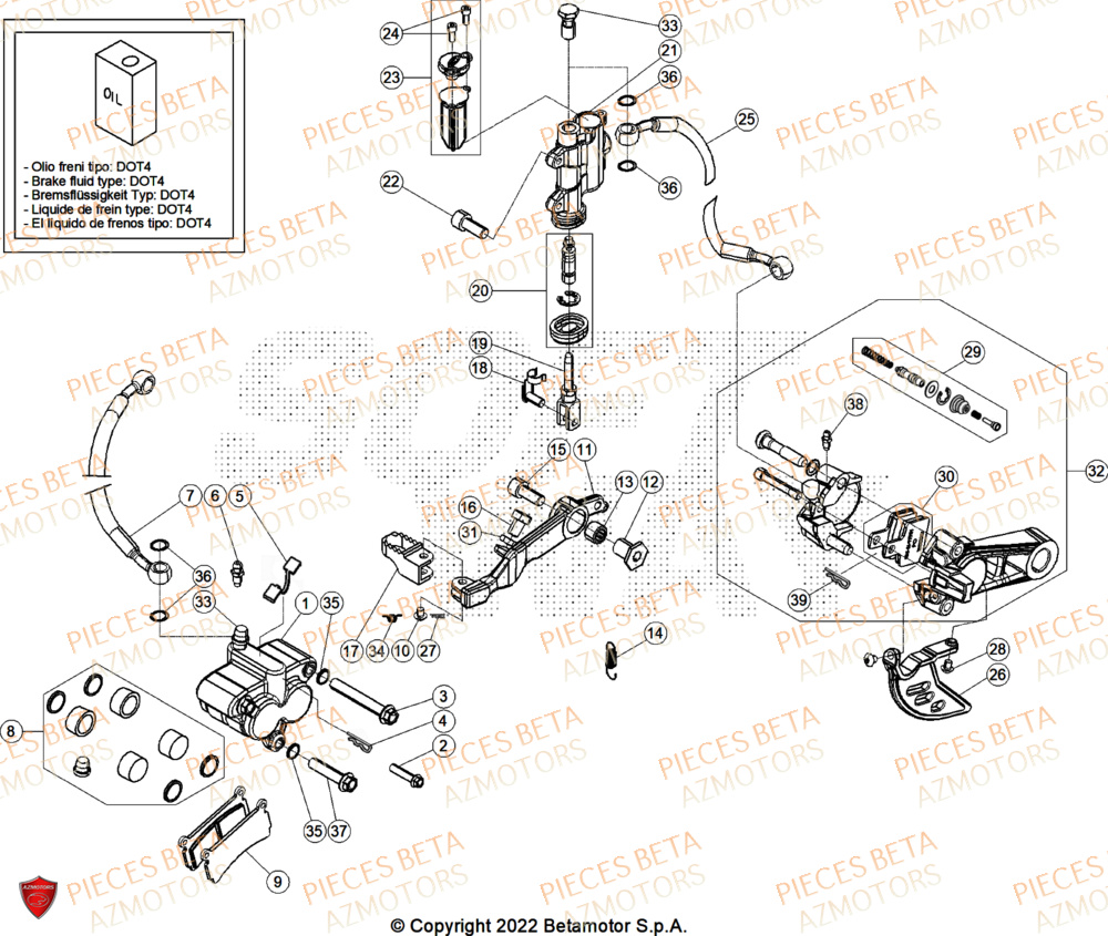 Freins BETA Pièces Beta TRIAL EVO 125 FACTORY 2T 2025