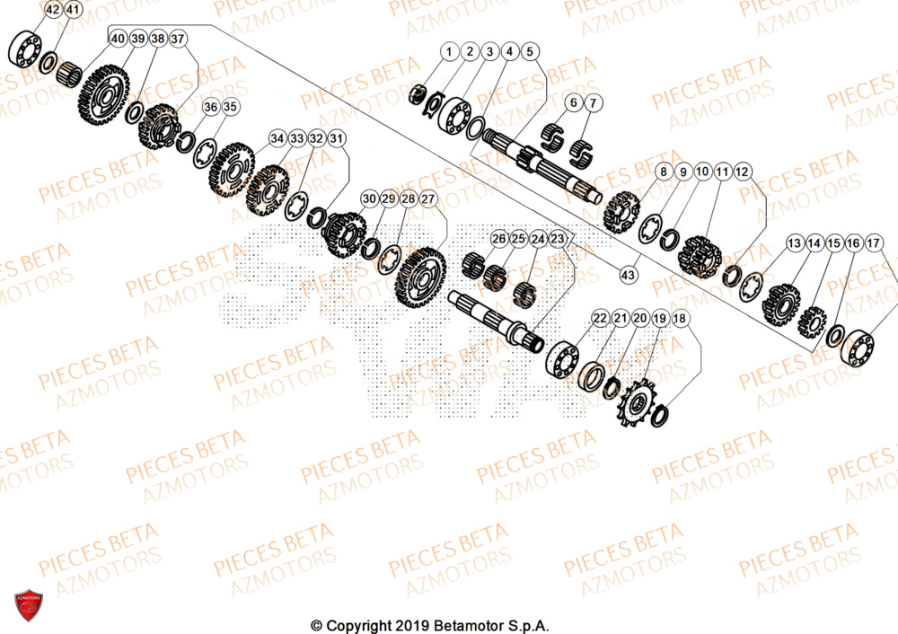 Transmission BETA Pièces Beta TRIAL EVO 125 FACTORY 2T 2025