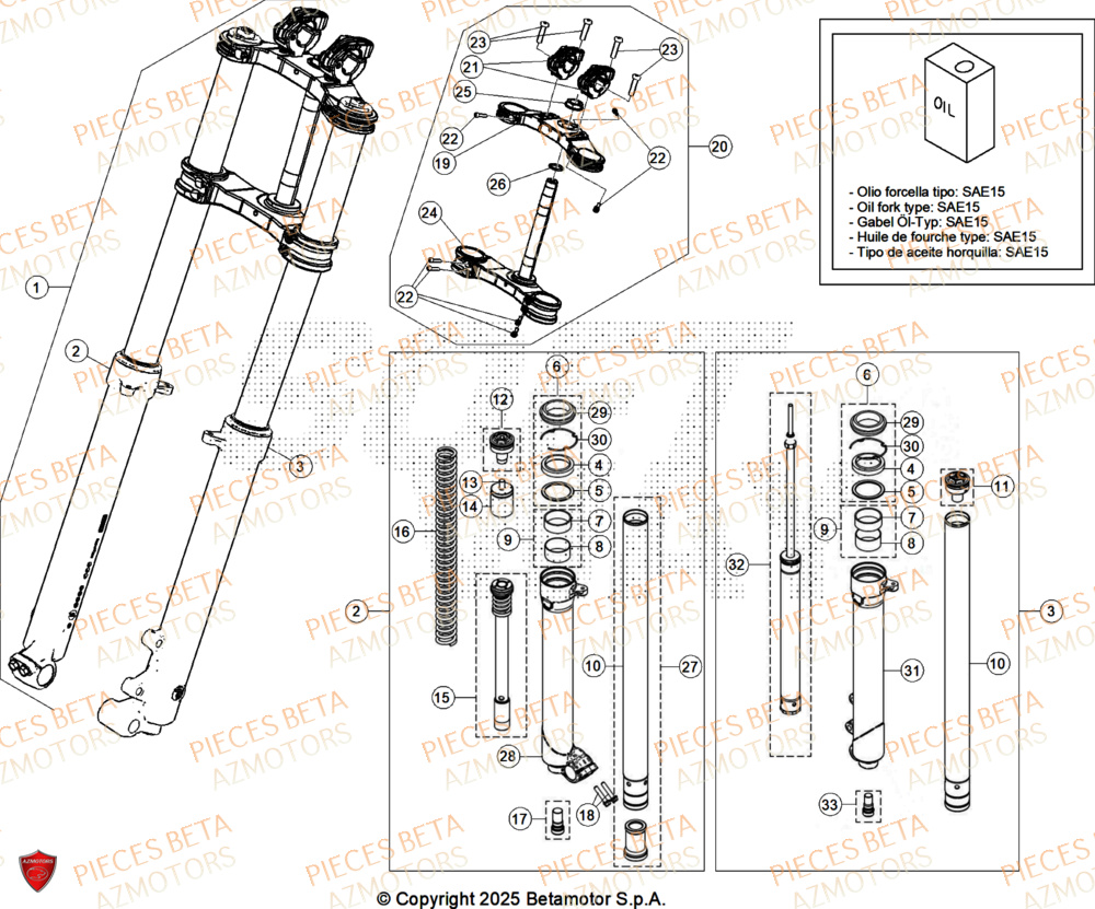 Fourche BETA Pièces Beta TRIAL EVO 250 FACTORY 2T 2025