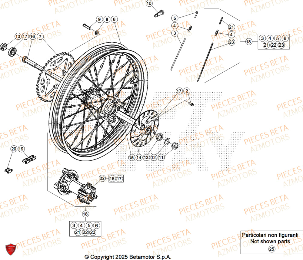Roue Arriere BETA Pièces Beta TRIAL EVO 250 FACTORY 2T 2025