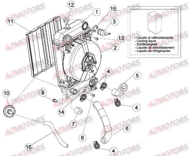 Radiateur BETA Pieces BETA EVO-290 2T - [2009]