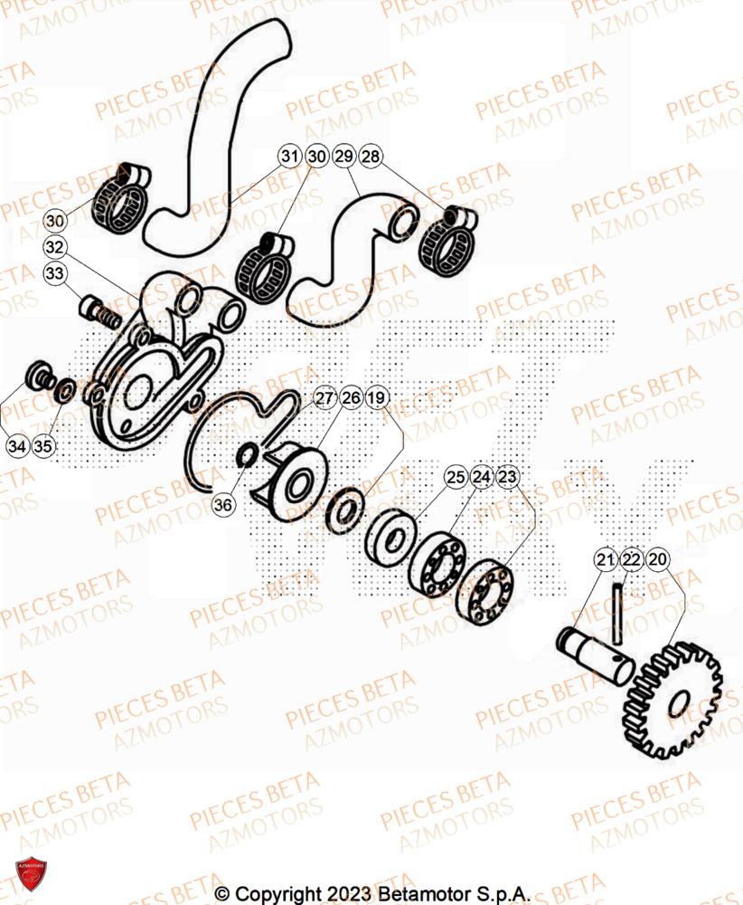 Pompe A Eau BETA Pièces Beta TRIAL EVO 300 FACTORY 2T 2025