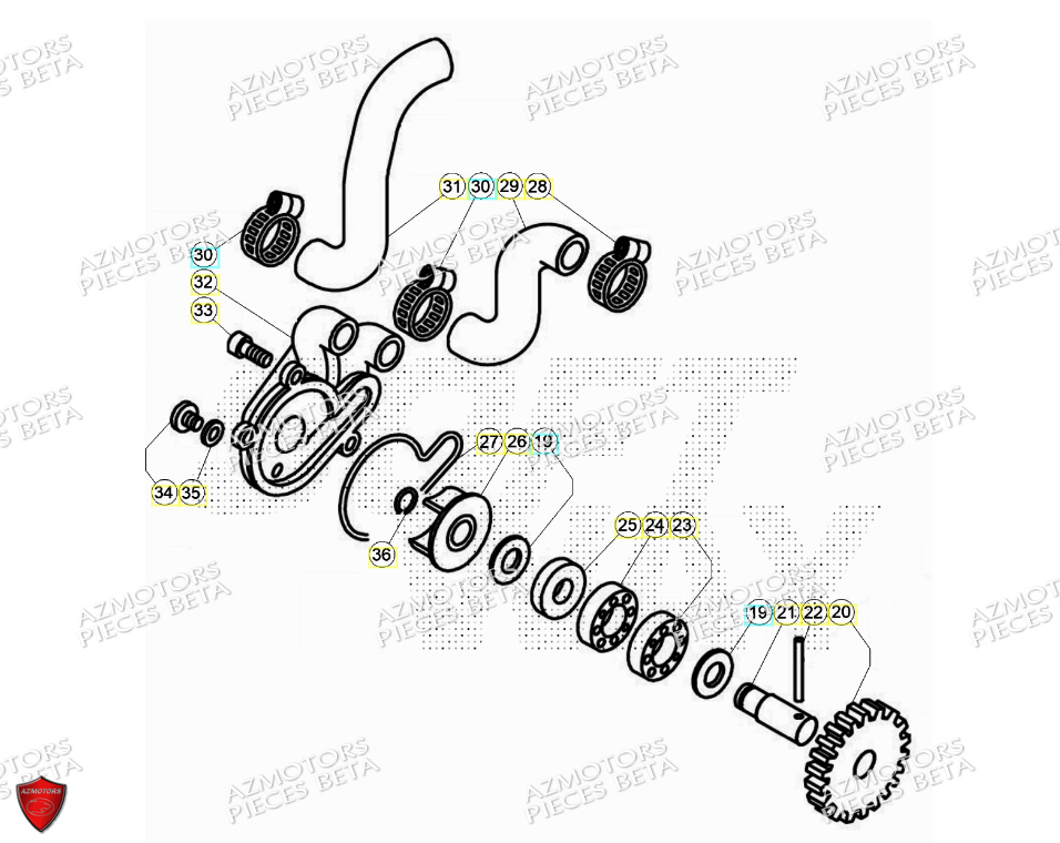 Pompe A Eau BETA Pièces BETA EVO 125 2T - [2024]