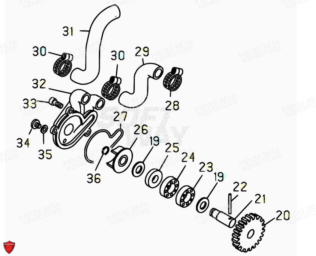 POMPE A EAU pour EVO 125 2T FACTORY 2017