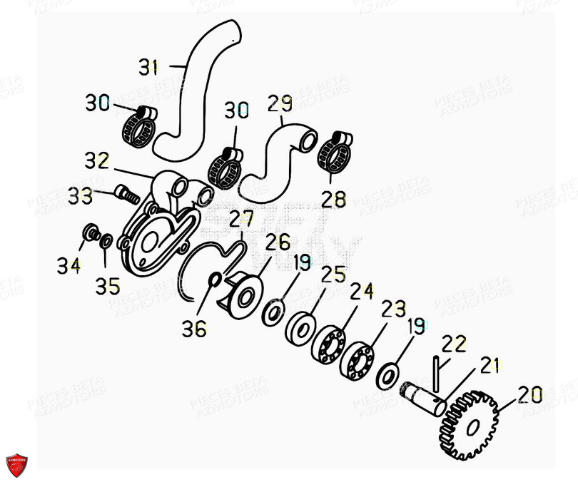 POMPE A EAU pour EVO 125 2T FACTORY 2018