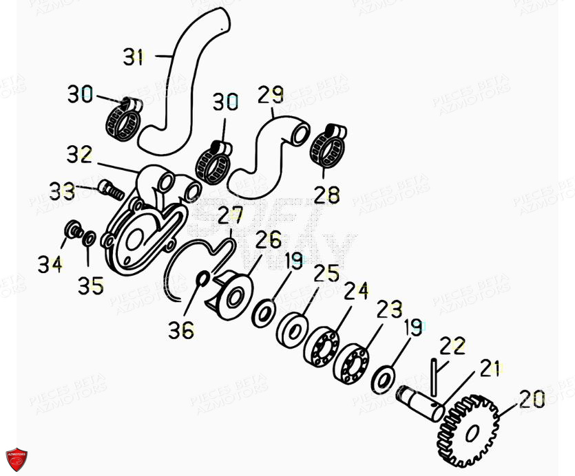 POMPE A EAU pour EVO 125 2T FACTORY 2019