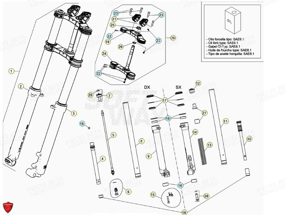 Fourche BETA Pièces BETA EVO 2T -125CC- FACTORY - (2020)