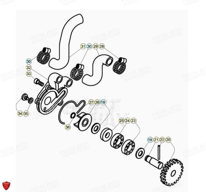 Pompe A Eau BETA Pièces BETA EVO 2T -125CC- FACTORY - (2020)