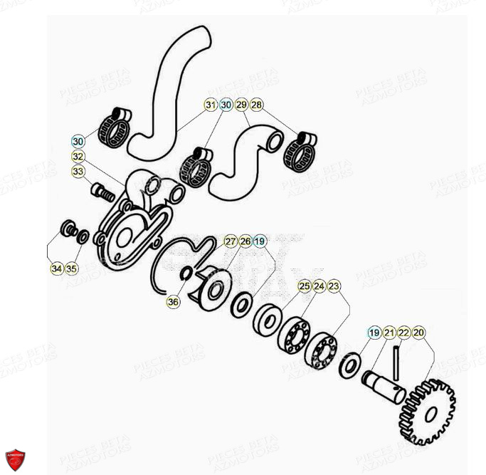 POMPE A EAU pour EVO 125 2T FACTORY 2021