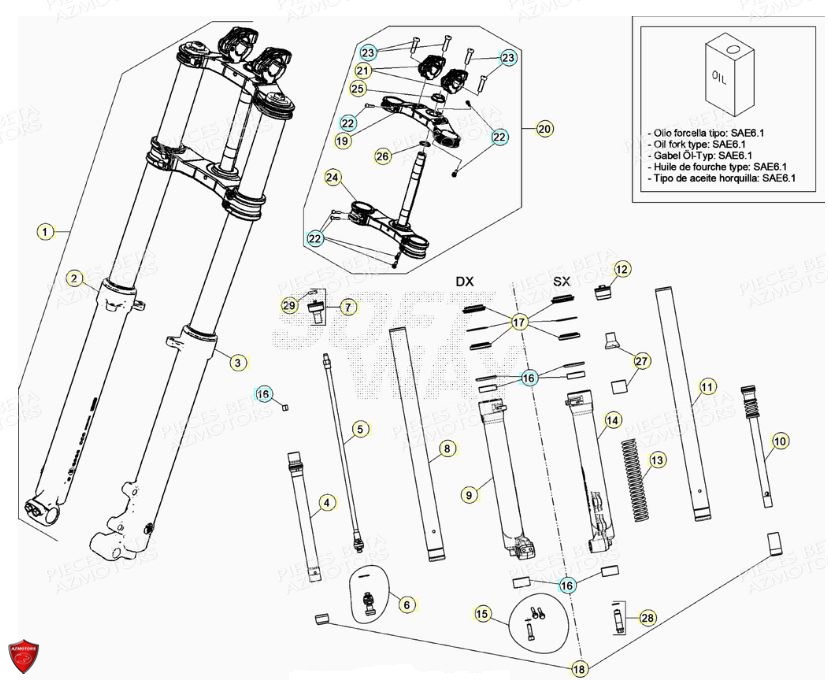 FOURCHE BETA EVO 125 2T FACTORY 2022