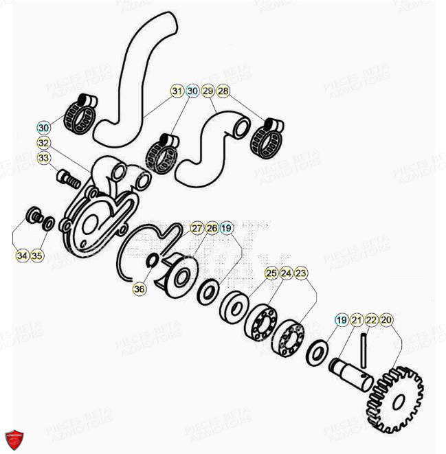 Pompe A Eau BETA Pièces BETA EVO 2T -125CC- FACTORY - (2022)
