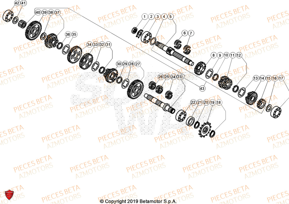 Transmission BETA Pièces BETA EVO 200 2T - [2024]