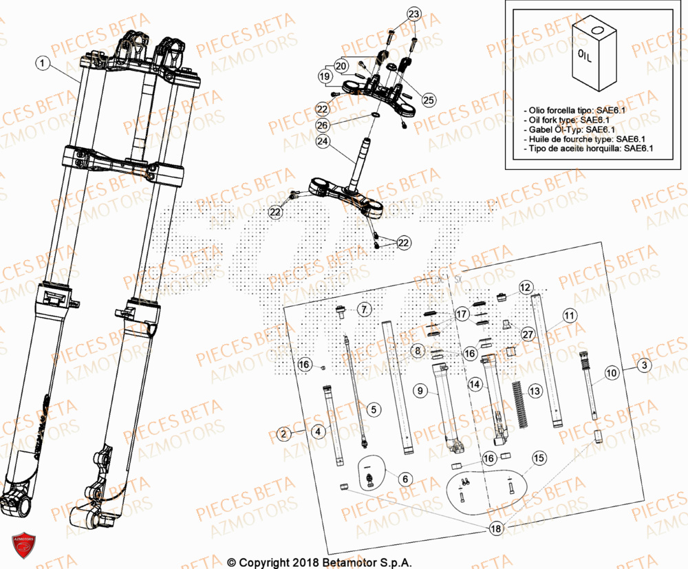 Fourche BETA Pièces BETA EVO 250 2T - [2024]
