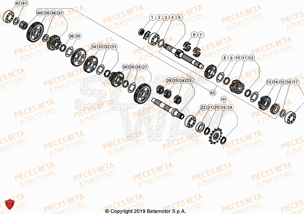 Transmission BETA Pièces BETA EVO 250 2T - [2024]