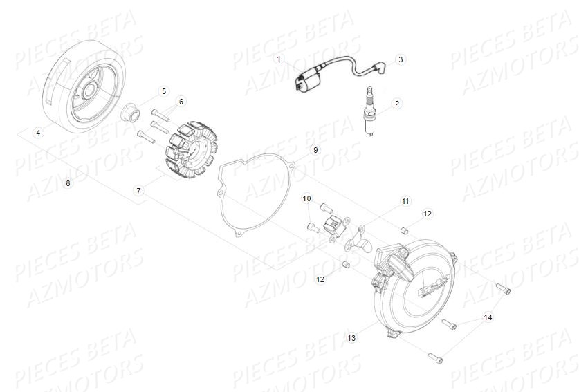 ALLUMAGE BOUGIE pour EVO 250 FACTORY 15