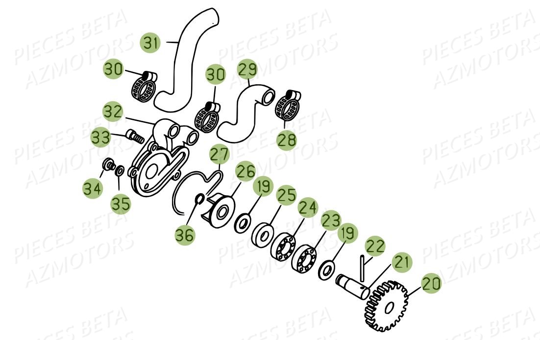 Pompe A Eau BETA Pièces BETA EVO 2T -250CC- FACTORY - (2015)