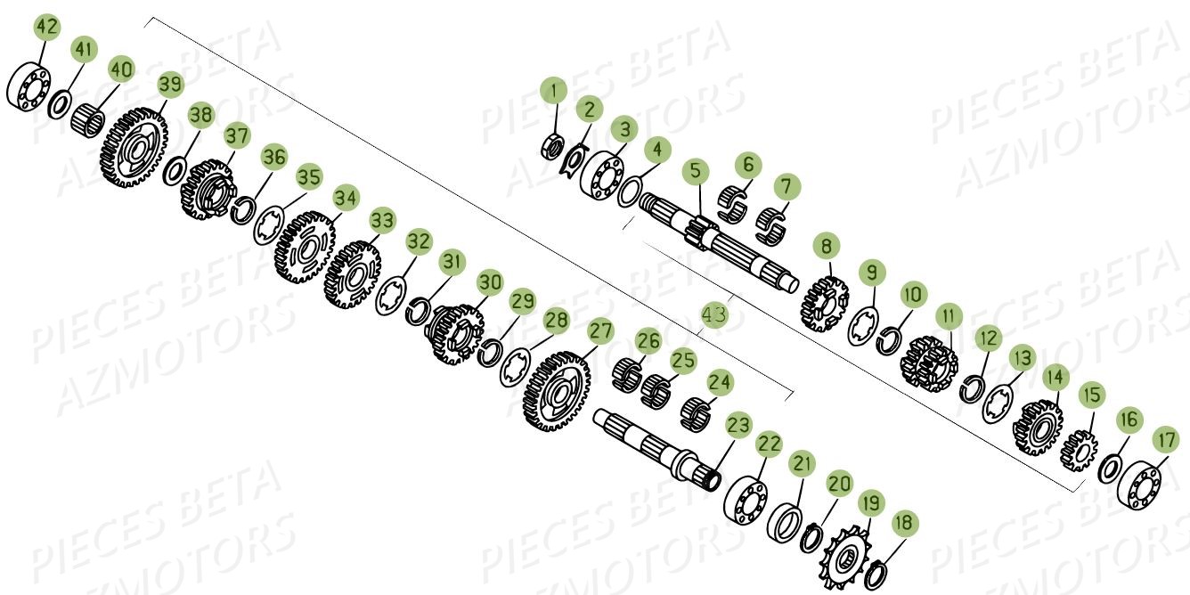 Boite A Vitesses BETA Pièces BETA EVO 2T -300CC- FACTORY - (2015)