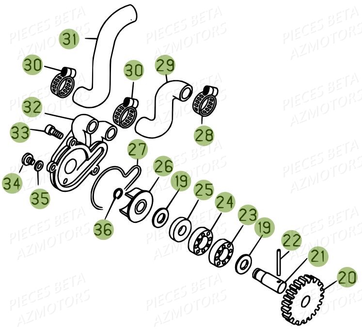 Pompe A Eau BETA Pièces BETA EVO 2T -300CC- FACTORY - (2015)