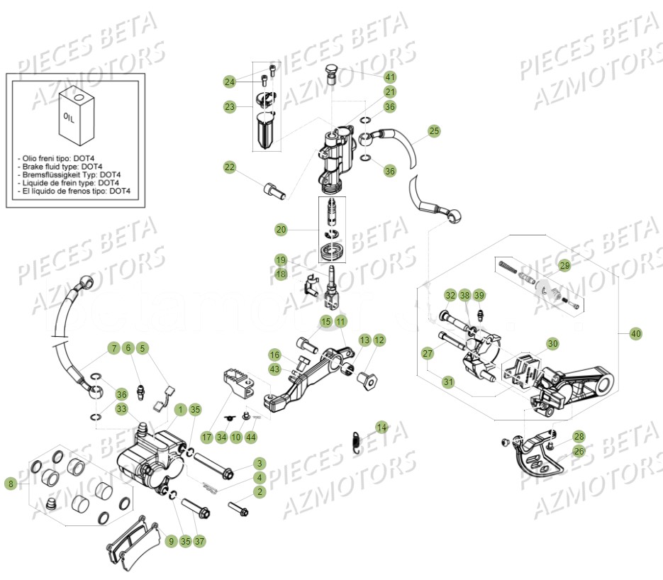 FREINS pour EVO 300 SS 2T