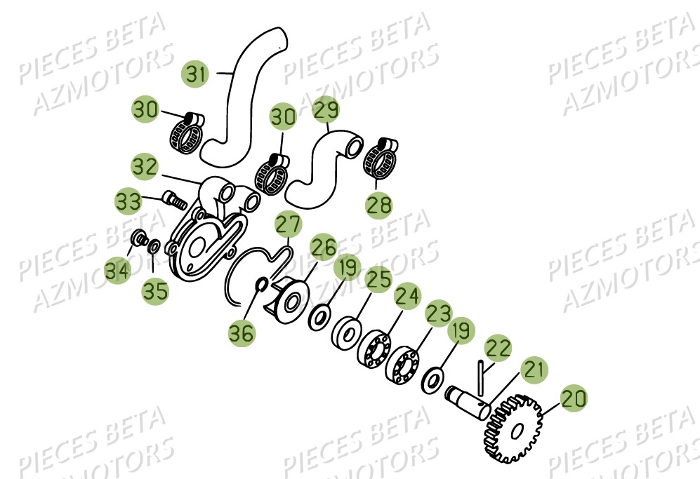 Installation De Refroidissement BETA Pièces Beta EVO 300 SS 2T - 2018