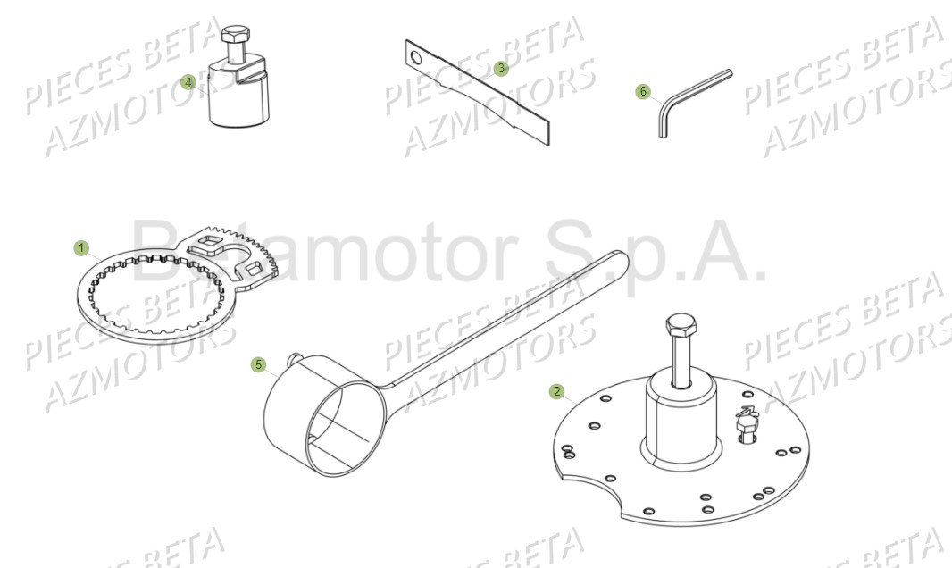 Outillage Special BETA Pièces Beta EVO 300 SS 2T - 2018