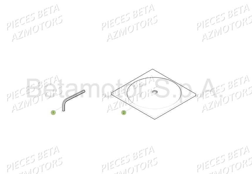 Outil Manuel BETA Pièces Beta EVO 300 SS 2T - 2018