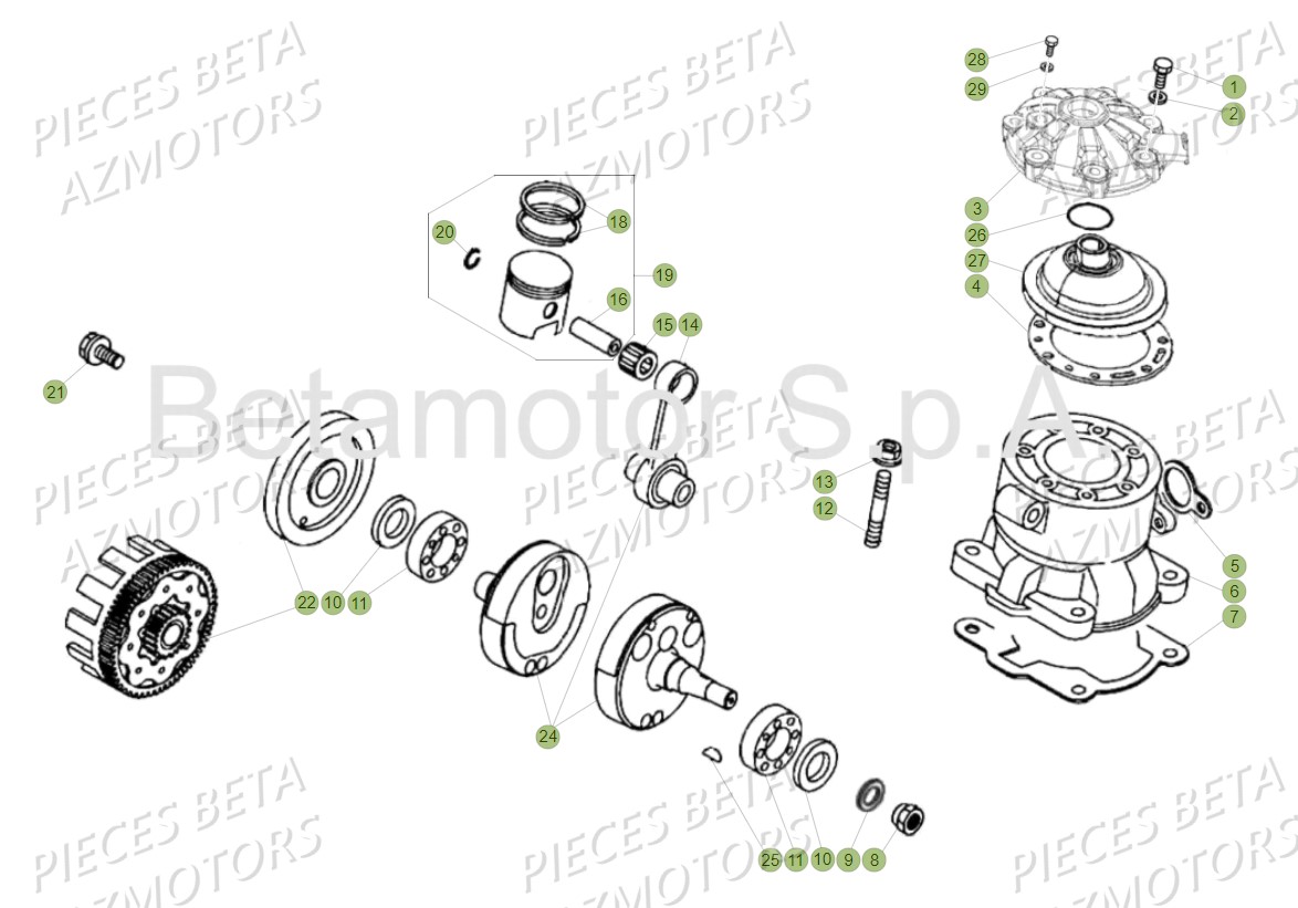 Vilebrequin Piston Contre Arbre BETA Pièces Beta EVO 300 SS 2T - 2018