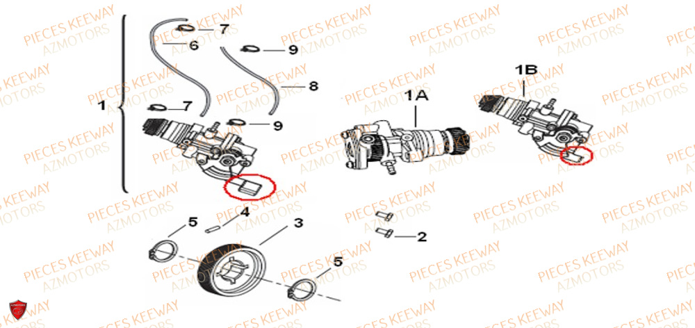 Pompe A Huile KEEWAY Pieces KEEWAY Origine FACT 50 2ST 2006-2013