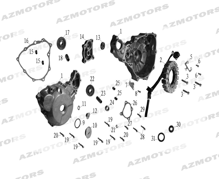 Carter Allumage Stator MASH Pieces MASH FAMILY SIDE 400cc (2019 - 2020)