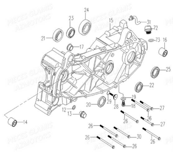 CARTER_MOTEUR_GAUCHE GLAMIS Pièces Buggy GLAMIS G300