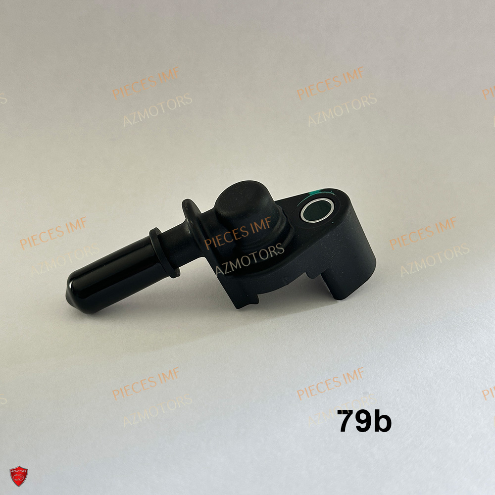 Boite A Air 2 AZMOTORS PIECES HIGHWAY EURO 5