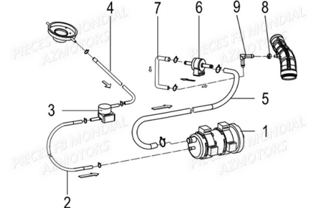 Canister FB MONDIAL Pieces HPS 125 ABS E5 FB Mondial Origine